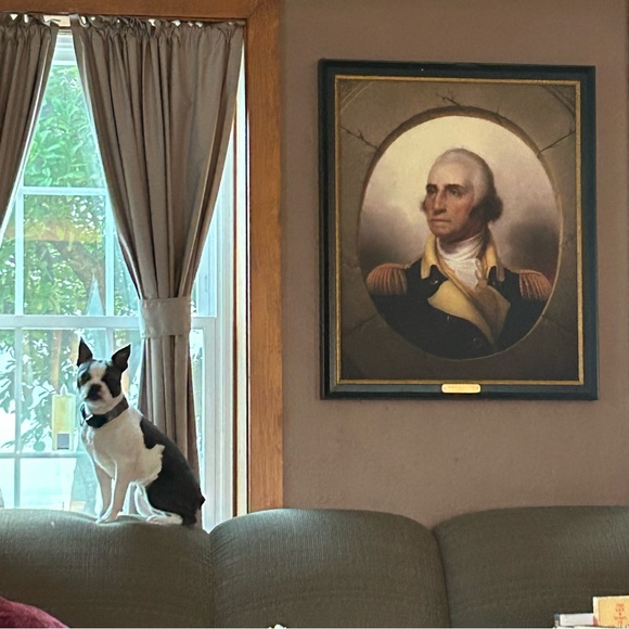 Meet your Posher, Susan - Picture 9 of 9